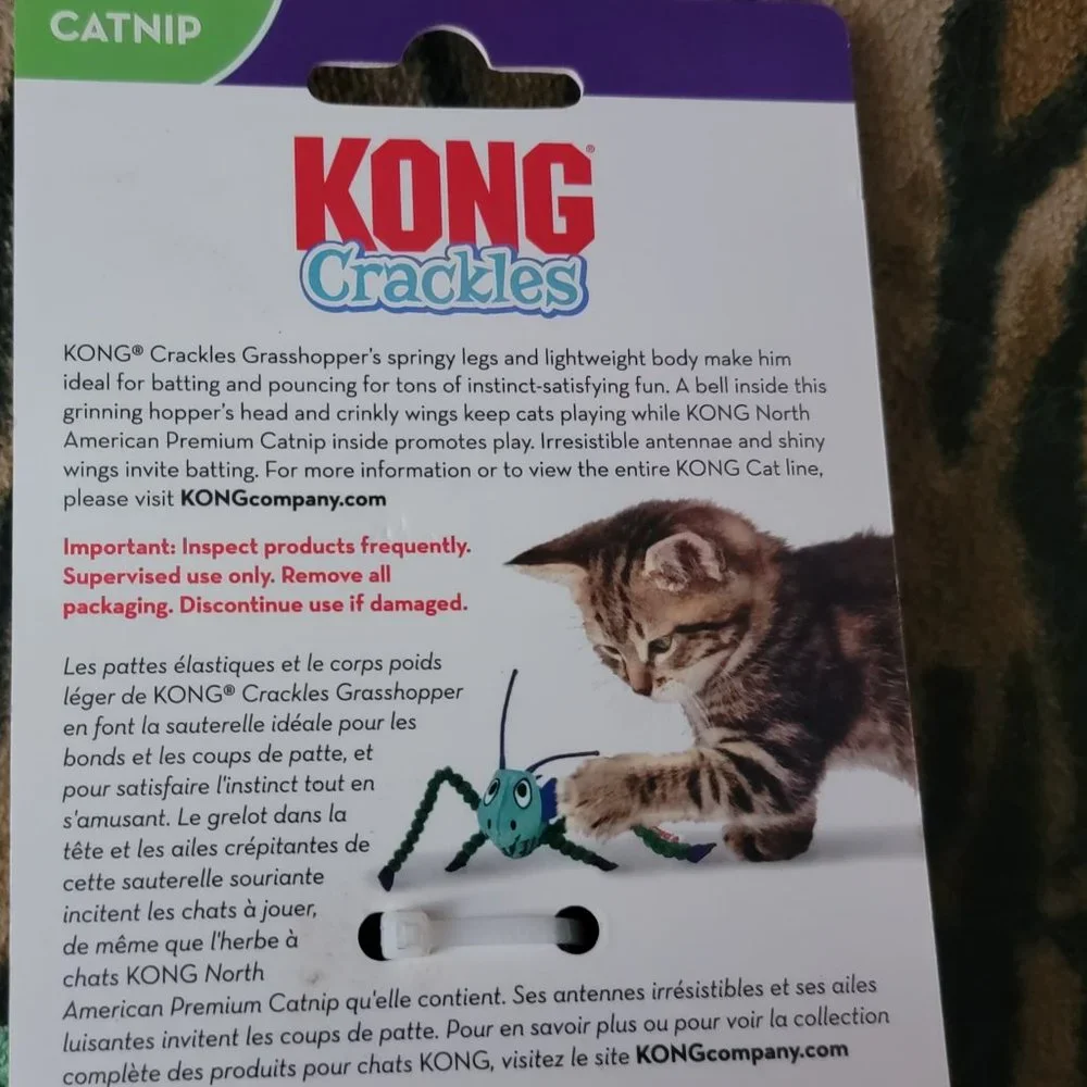 Kong cat grasshopper